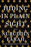 Hiding in Plain Sight: A Novel