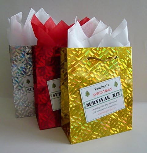 TEACHER Christmas Survival Kit. Novelty Gift. Fun Festive Present. Stocking Filler.