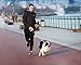PETKIT 'GO' Bluetooth USB Charging Route and Walk Distance Tracking Activity Monitor Smart Pet Dog Leash w/ User Controlled Light Sensors w/ Inlcuded Leash, One Size, White and Grey