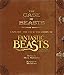 The Case of Beasts: Explore the Film Wizardry of Fantastic Beasts and Where to Find Them by