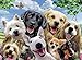 Ravensburger Delighted Dogs 300 Piece XXL Jigsaw Puzzle for Kids -13228 - Every Piece is Unique, Pieces Fit Together Perfectly
