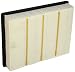 ACDelco A3181C Professional Air Filter primary