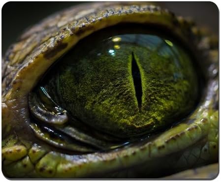 Eyes Macro Reptile Crocodile Mousepad,Gaming Mouse Pad (10.2x8.2 inches)