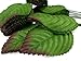 perfect2desire Fake Leaves Green Brown Rose Leaves Mulberry Paper Artificial Leaf Size#1