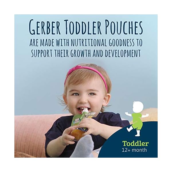 gerber fruit and yogurt pouch