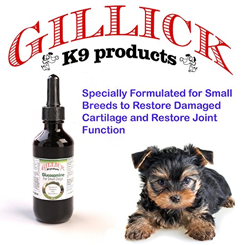 Liquid Glucosamine for Small Dogs with Chondroitin MSM and Hyaluronic