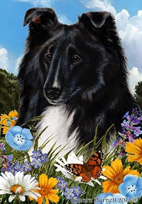 summer garden shelties