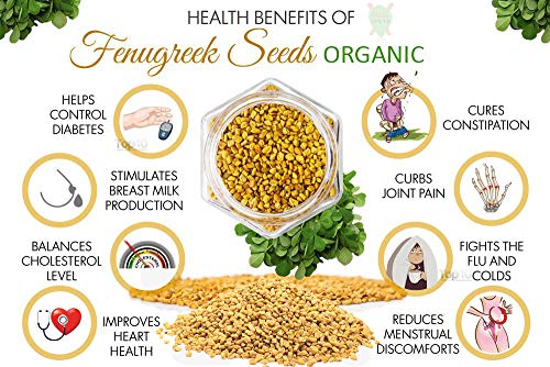 Fenugreek Seeds Organic 1lb - BULK PRICE - Thumbnail 7