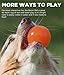 Bionic Ball Durable Tough Fetch & Chew Toy