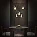 LITFAD Industrial Set of Cage Haning Lighting Fixture Rustic Barn Metal Chandelier Max 200w with 5 Cage Lights Black Finish,Vintage Creative Pendant Light