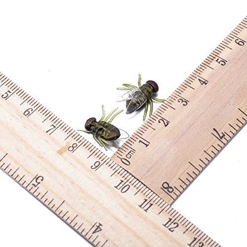 Plastic Flies Halloween Fly for Gag Gifts/Party Favors/Prank Kit -100 Pcs Green by FUNLAVIE