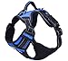 PUPTECK Best No-Pull Dog Harness with Vertical Handle,Calming Adjustable Reflective Outdoor Adventure Pet Vest