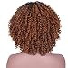 AisiBeauty Brown Kinky Curly Hair Wigs Heat Resistant Fiber Fluffy Wigs Short Ombre Synthetic Curly Wigs for Black Women African American Female
