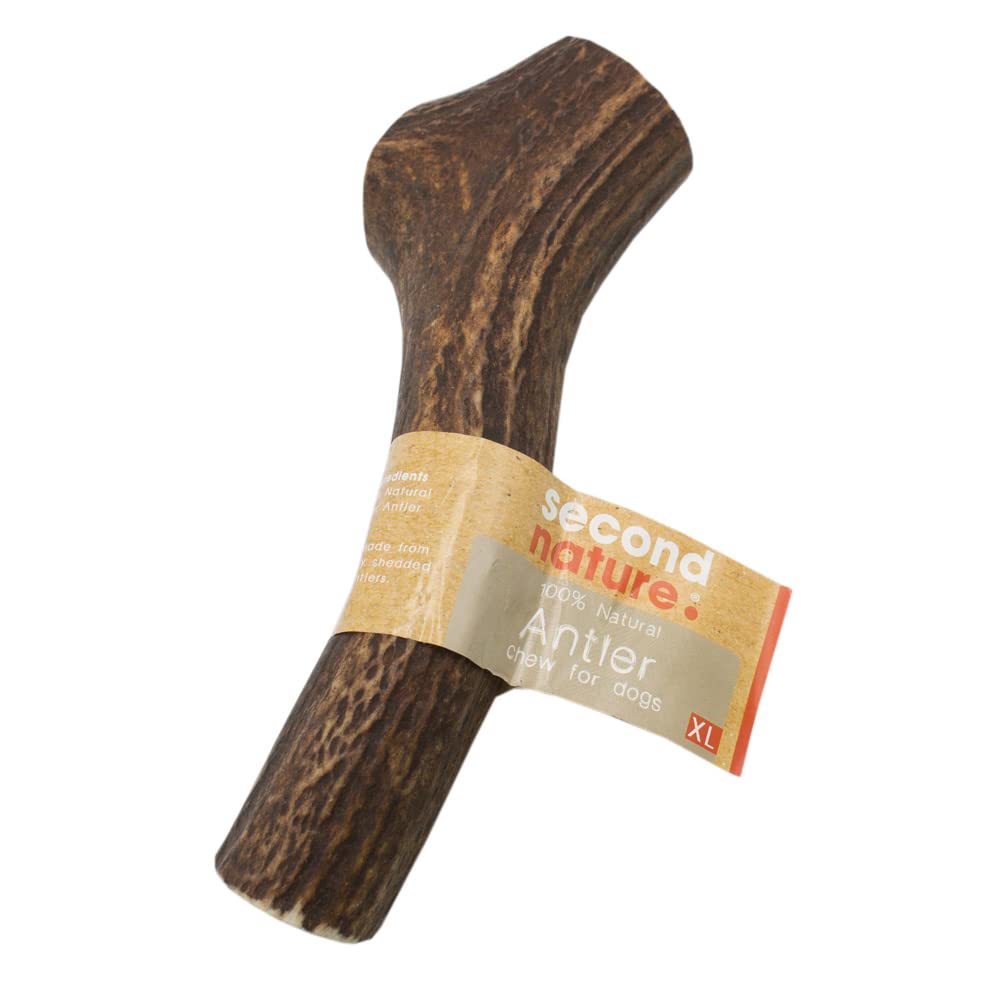 Second Nature Deer Antler Chews for Dogs - Durable, Natural Dog Chews Long Lasting from Shed Antlers, Hard Treats for Aggressive Chewers - XL (Extra Large)
