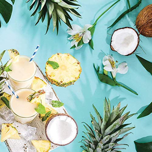 Jordan's Skinny Syrups Sugar Free Coconut 750 ml Bottle with By The Cup Syrup Pump Pricepulse