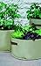 Tierra Garden 50-1030 Haxnicks Vegetable Patio Planter and Grow Bag, 3-Pack