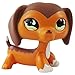 Littlest Pet Shop Dachshund Savvy Savvanah Reed LPS Dog Figure Toy # 675