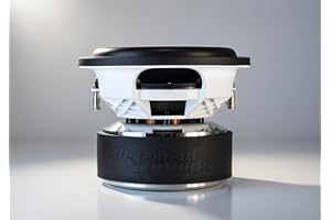 Resilient Sounds Onyx 12 (Dual 2 Ohm)