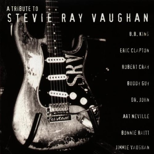 Artists Various New Stevie Ray Vaughan Tribute To Stevie Ray Vaughan Cd Amazon Com Music