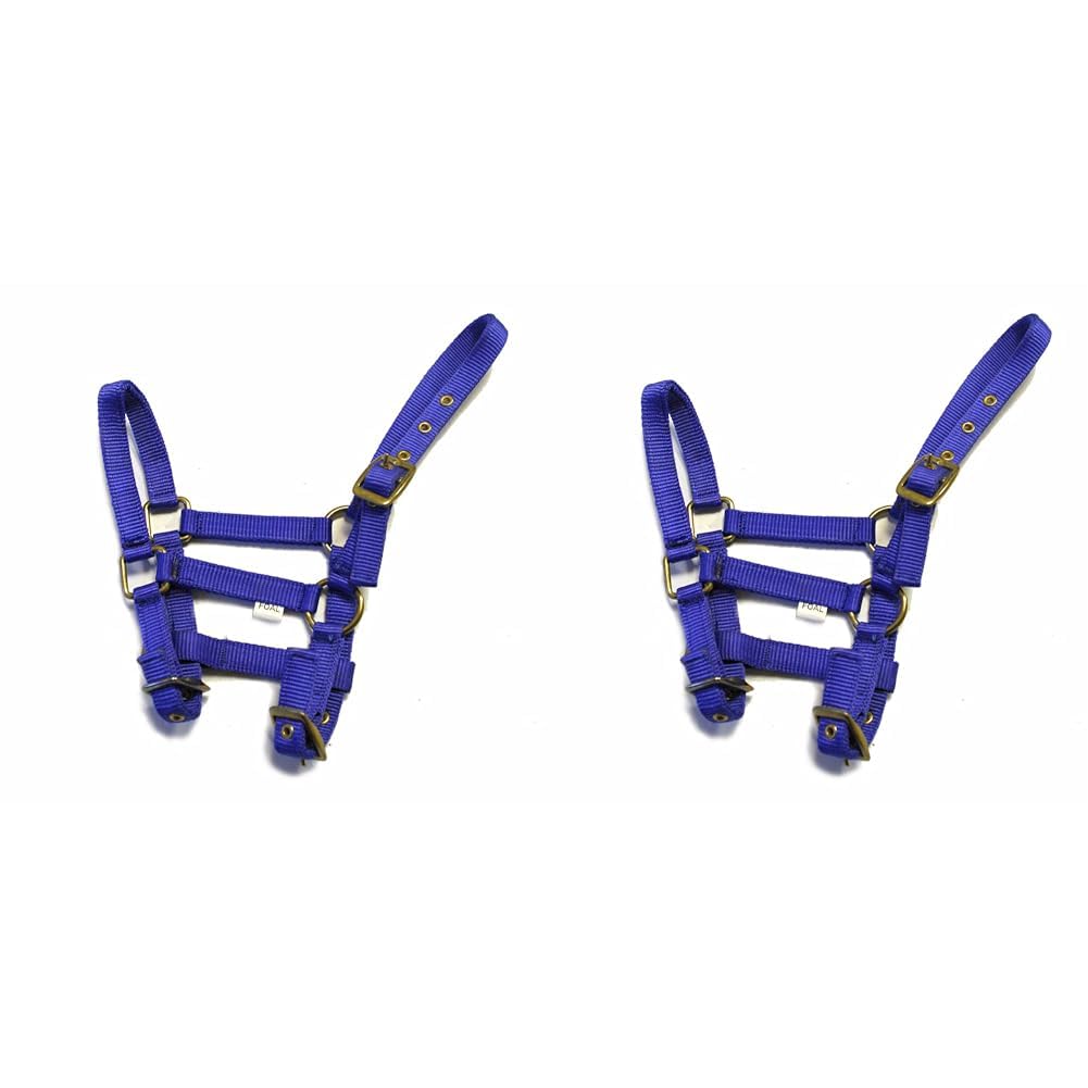 Rhinegold Nylon Foal Headcollar - Royal Blue (Pack of 2)