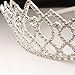 Crazy K&A Rhinestone Tiara Crystal Wedding Bridal Princess Crown Hair Comb Hair Jewelry for Women Girls