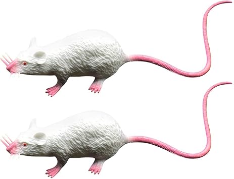 Téléchargement gratuit Images Toyandona 2pcs Souris Souris Realiste Rat Jouet Blague Effrayant actualisé par