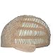 BESTUNG Short Straight Bob Hair Wigs with Flat Bangs for Women Multi Color Cosplay Party Costume Wig (1001#)