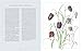 Rosie Sanders' Flowers: A Celebration of Botanical Art