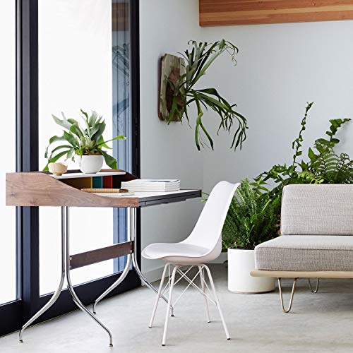 JUMMICO Kitchen Dining Chair with Soft Padded Mid Century Shell Side Chair Armless Tulip Chair