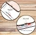 Cat Flap Lifepul 4 Ways Locking Cat Door (Large Size 9.8