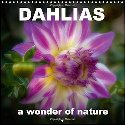 Buy Dahlias A Wonder Of Nature 17 Wonderful Dahlias Presented In A Warm Light Calvendo Nature Book Online At Low Prices In India Dahlias A Wonder Of Nature 17 Wonderful Dahlias
