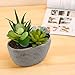MyGift Decorative Artificial Succulent Plant Arrangement with Oval Gray Pot