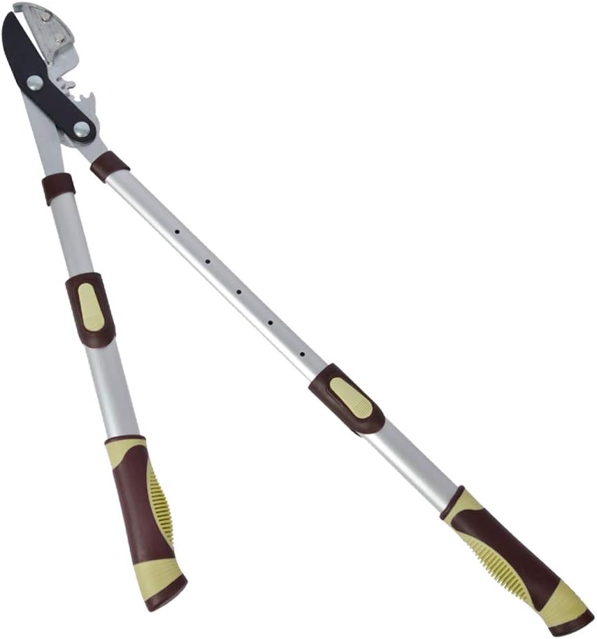 Winslow & Ross Telescopic Ratchet Anvil Loppers Adjustable Compound Action Cutting r - Teflon Non-Stick Coating Blade, 6 Section Adjust(27.5" to 37.25") - Perfect for Branches Within 2" Diameter. : Garden & Outdoor