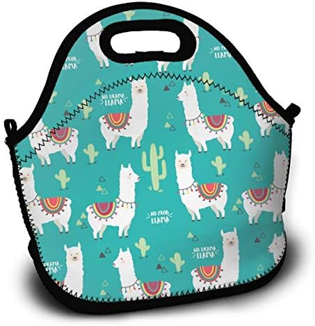 No Prob Llama Portable Lunch Tote Bags, Takeaway Lunch Box, Outdoor Travel Fashionable Handbag for Men Women Kids Girls