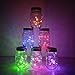 Decorman Solar Mason Jar Lid Lights, 6 Pack 10 LED Waterproof String Fairy Star Firefly Jar Lids Lights for Patio Garden Yard Lawn Party Wedding Christmas Decoration(Jars & Hangers Not Included)