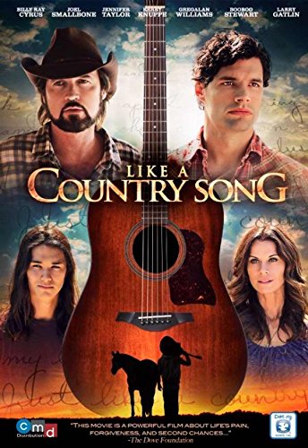Like a Country Song