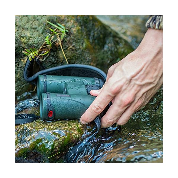 CJSWT Ferngläser für Erwachsene, 10x42 Compact HD Fernglas mit Low Light Night Vision für Vogelbeobachtung Jagd Wandern… – Bild 3