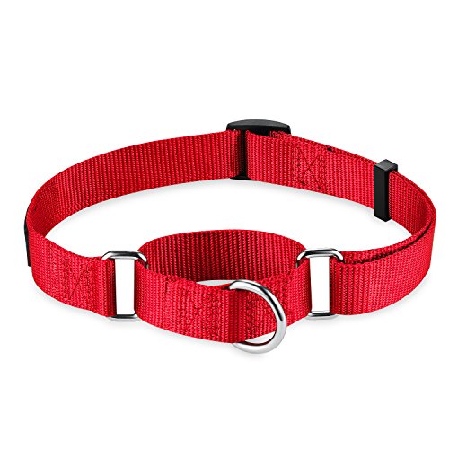Martingale Collars for Dogs Adjustable Durable Dog Collar Solid Color Nylon Dog Collars for Large/Medium/Small Dogs By Dazzber