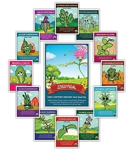 100% CERTIFIED ORGANIC 12 Herb Set - Popular varieties of Easy to Grow Seeds - USDA Certified Seed Company