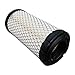 Fat Dragon GOLF Club Car Golf Cart Engine Air Filter | For Precedent Gas Golf Carts 2004+