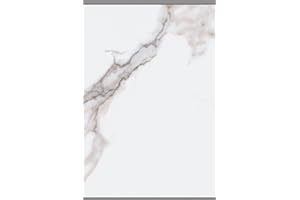 Dumawall+ Waterproof Wall Tiles, Easy-to-Install, Tongue & Groove System, UV Resistant, Strong & Durable | No Grouting, Cut with Hand Tools, Rome Polished Marble Sample