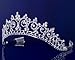 Rhinestones Crystal Wedding Bridal Pageant Princess Tiara Crown 3150