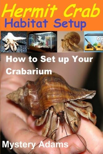 Hermit Crab Habitat Setup: Hermit Crab care and Habitat Set-up Paperback – December 12, 2013
