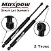Maxpow Qty (2) Rear Trunk Lift Support shocks struts PM1048 Compatible With GS350 2005 2007 2008 2009 2010 2011 2012