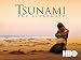 Tsunami, The Aftermath