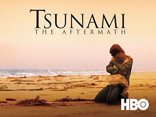 Tsunami, The Aftermath