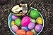 Gold Easter Egg 5.5 Inch Great Surprise Egg Empty Fillable Egg Hunt Prize - Metallic (Exclusively by Abundant Gifts)