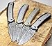 Buckshot Knives Thumb Open Spring Assisted Stainless Steel Titanium Handle with 3D Etched Inlay, Etched Damascus Wave Blade Pocket Knife (PBK215BL)