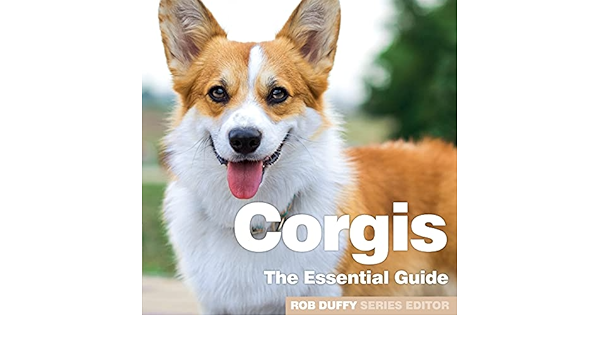 corgi essentials