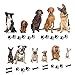 Wall Stickers for Bedroom Living Room, PARLAIM Wall Decals for Kids Boys and Girls (Muti)